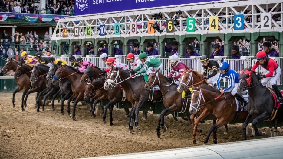 Breeders’ Cup Odds Best Picks, Preview & Horses to Watch